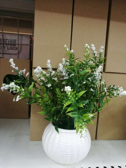 simulation flower plastic plastic flower potted plants R40 EACH IF YOU BUY 10 UNITS